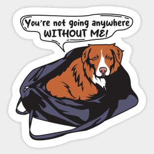 Funny Toller Nova Scotia Duck Tolling Retriever You're Not Going Anywhere Without me! Sticker